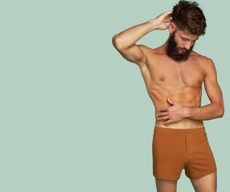 Image de la bannière