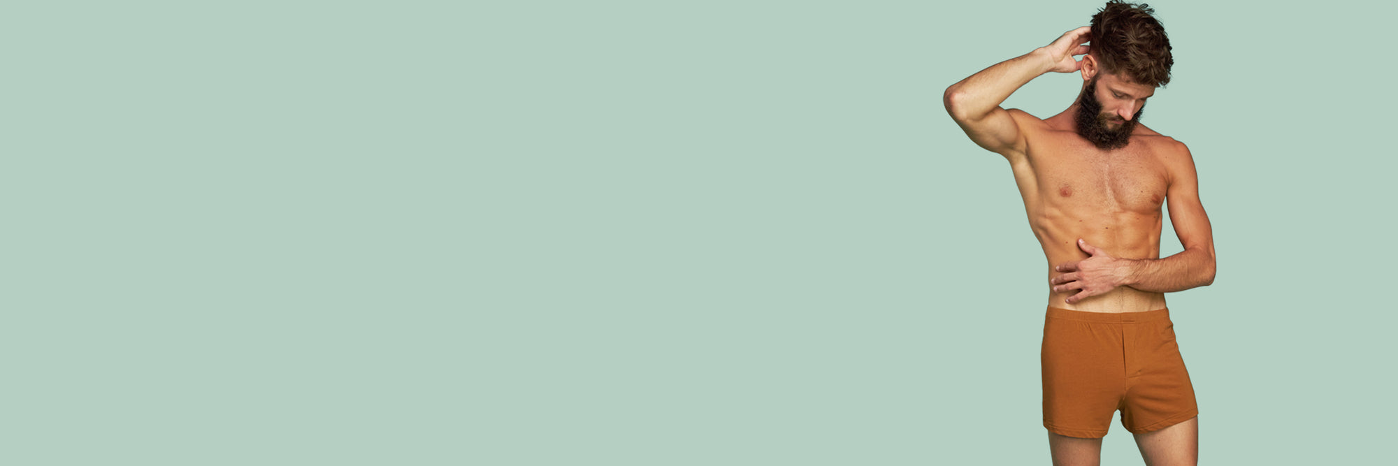 Image de la bannière