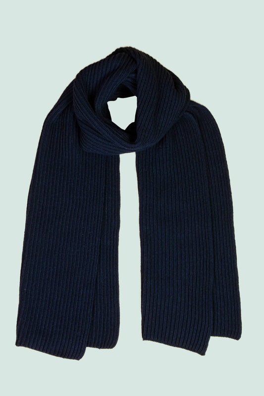 Pétrone écharpe homme bleu marine