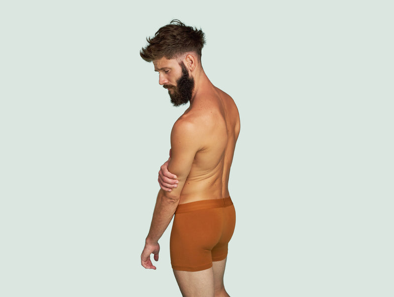Pétrone boxer confort coton pima micromodal ocre homme#couleur_ocre