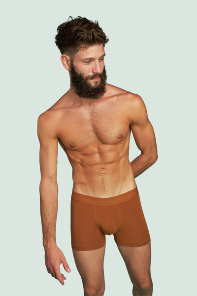 Pétrone boxer confort coton pima micromodal ocre homme