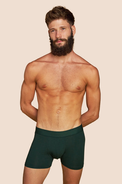 Pétrone boxer confort coton pima micromodal vert bouteille homme