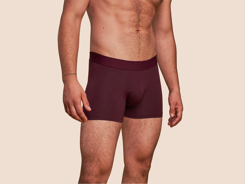 Pétrone boxer coton bio lie-de-vin homme#couleur_lie-de-vin