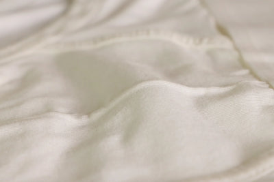 Pétrone slip coton pima micromodal blanc crème homme#couleur_blanc-crème