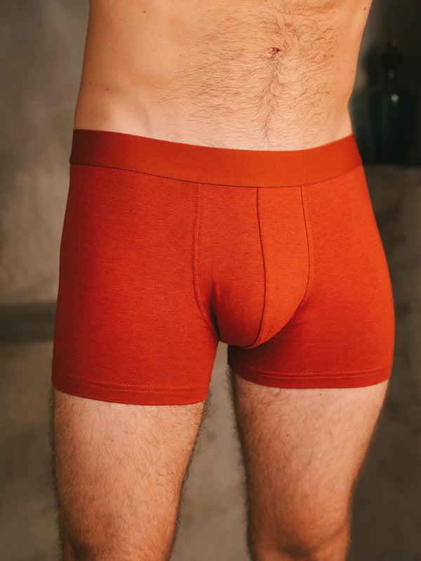Pétrone boxer confort coton biologique Tencel Lyocell rouille homme#couleur_rouille