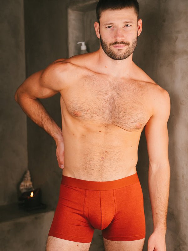 Pétrone boxer confort coton biologique Tencel Lyocell rouille homme#couleur_rouille