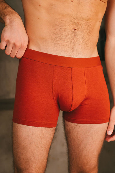 Pétrone boxer confort coton biologique Tencel Lyocell rouille homme