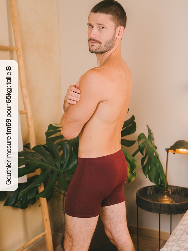 Pétrone boxer héritage coton biologique tencel bordeaux foncé homme#couleur_bordeaux-foncé