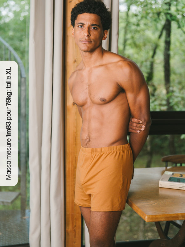 Pétrone caleçon coton pima micromodal ocre homme#couleur_ocre