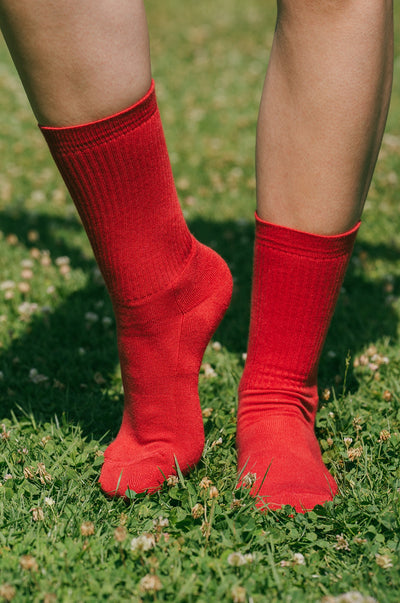Pétrone chaussettes de tennis coton bio ecocell rouge homme