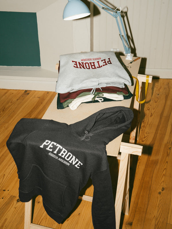 Pétrone sweat capuche hoodie homme Tencel coton bio gris anthracite chiné homme#couleur_gris-anthracite-chiné