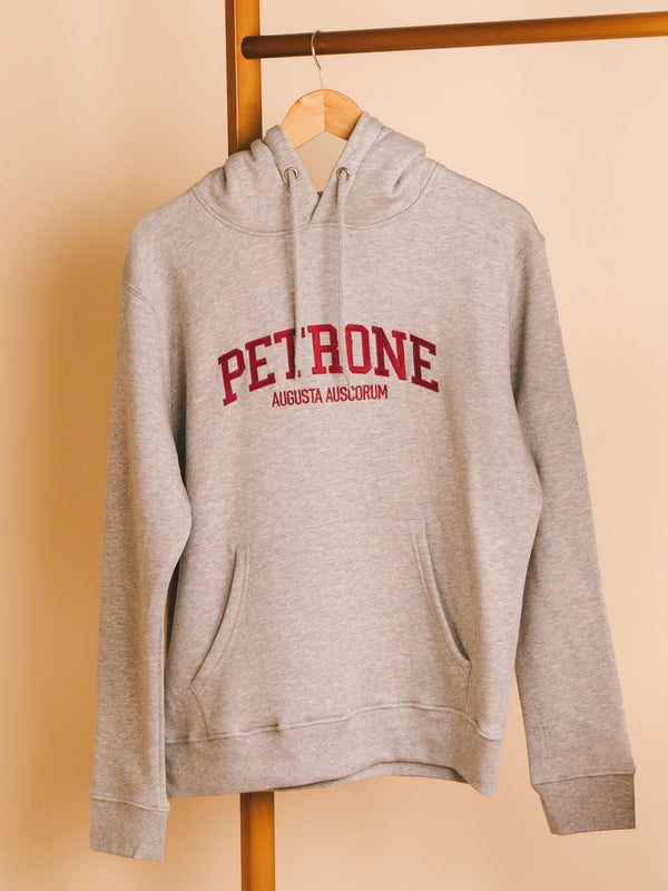 Pétrone sweat capuche hoodie homme Tencel coton bio gris chiné clair homme#couleur_gris-chiné-clair