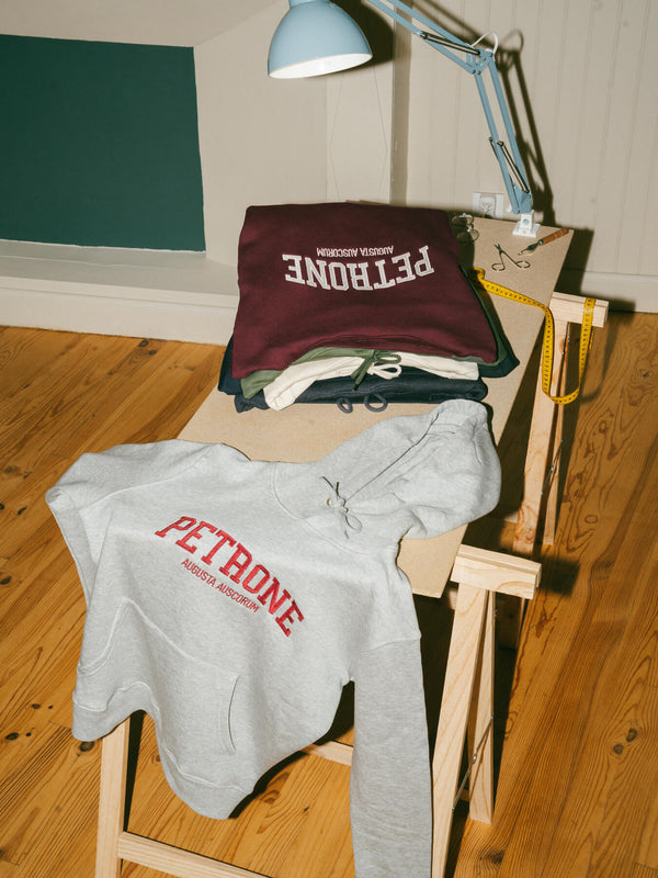 Pétrone sweat capuche hoodie homme Tencel coton bio gris chiné clair homme#couleur_gris-chiné-clair