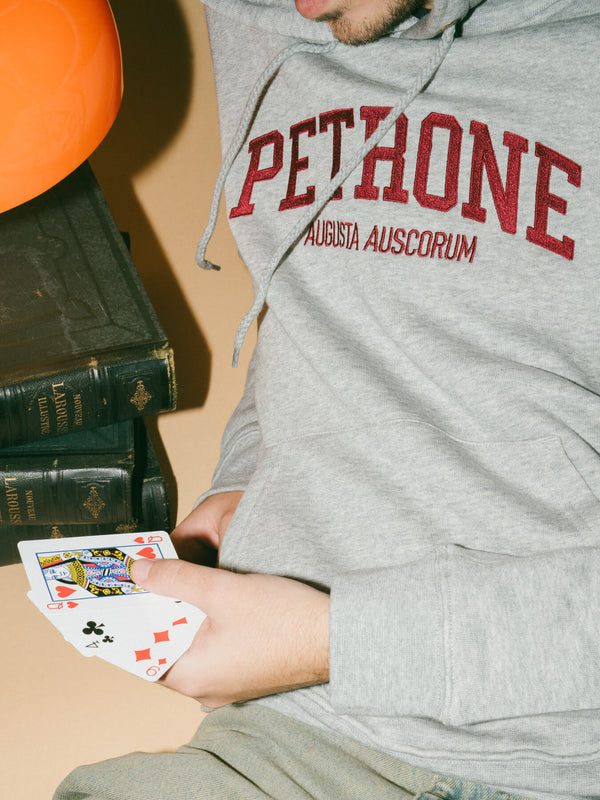 Pétrone sweat capuche hoodie homme Tencel coton bio gris chiné clair homme#couleur_gris-chiné-clair