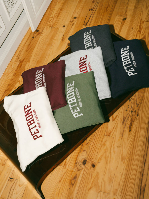 Pétrone sweat capuche hoodie homme Tencel coton bio bleu marine homme#couleur_bleu-marine