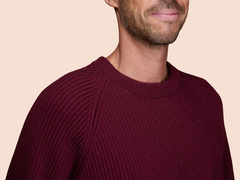 Pétrone Pull Réconfortant bordeaux foncé homme#couleur_bordeaux-foncé