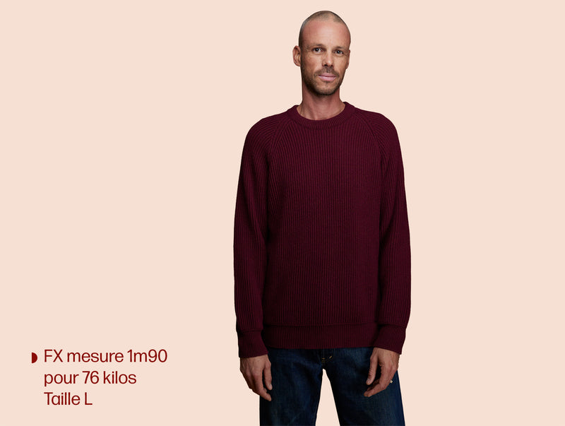 Pétrone Pull Réconfortant bordeaux foncé homme#couleur_bordeaux-foncé