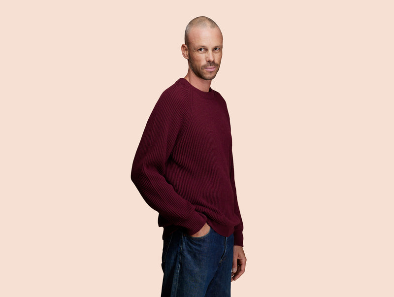 Pétrone Pull Réconfortant bordeaux foncé homme#couleur_bordeaux-foncé