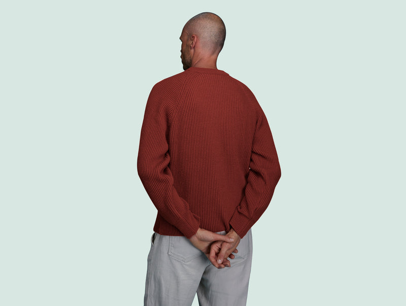 Pétrone Pull Réconfortant rouille homme#couleur_rouille