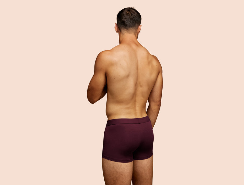 Pétrone shorty coton biologique Tencel lie de vin homme#couleur_lie-de-vin