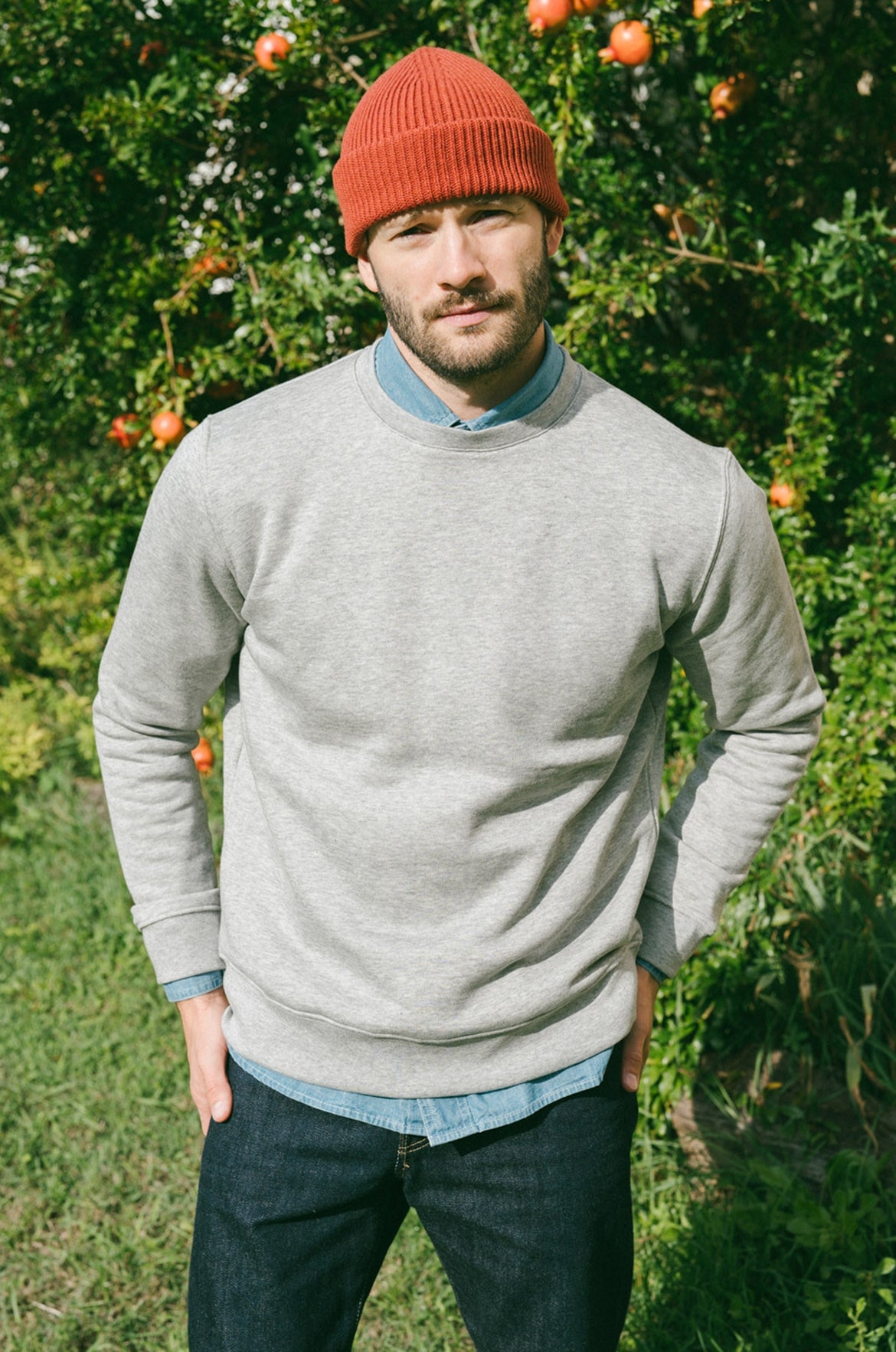 Pétrone sweat homme Tencel coton bio gris clair homme