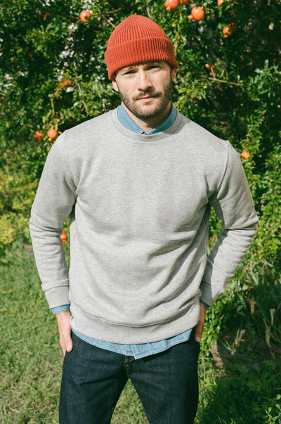 Pétrone sweat homme Tencel coton bio gris clair homme