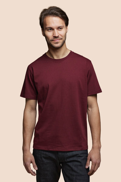 Pétrone T-shirt manches courtes coton pima micromodal bordeaux homme