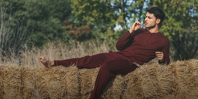 Collection automne