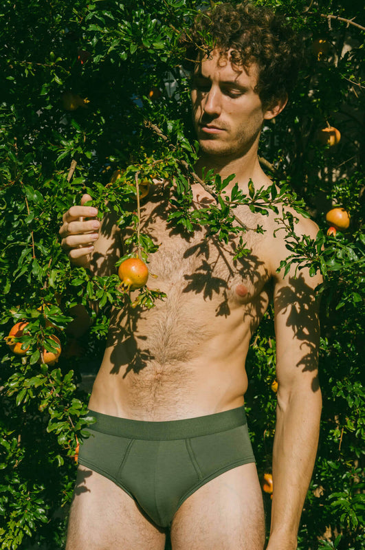 Pétrone slip coton biologique Tencel vert homm