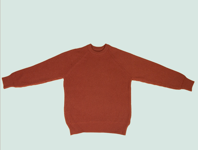 Pétrone Pull Réconfortant rouille homme#couleur_rouille