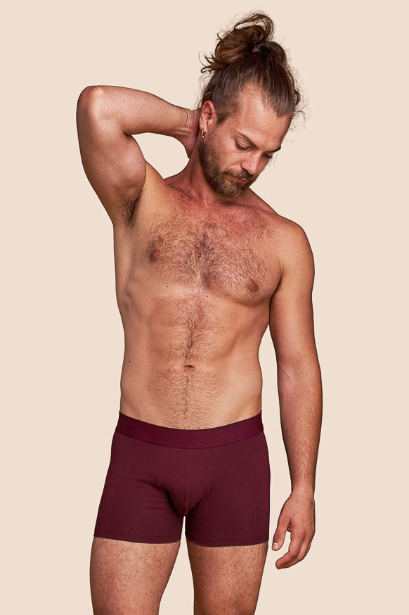 Pétrone boxer coton bio bordeaux foncé homme
