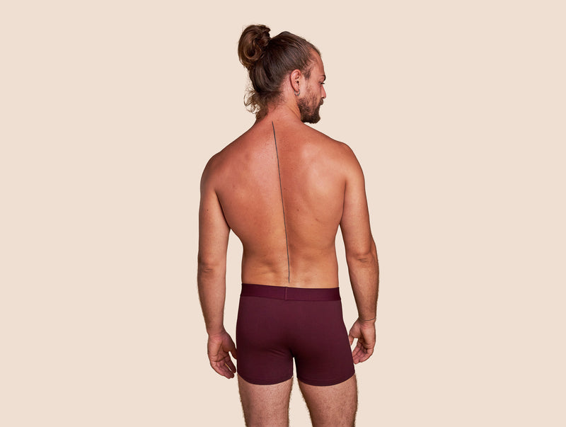Pétrone boxer coton bio bordeaux foncé homme#couleur_bordeaux-foncé