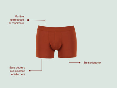 Pétrone boxer confort coton pima micromodal rouille homme#couleur_rouille