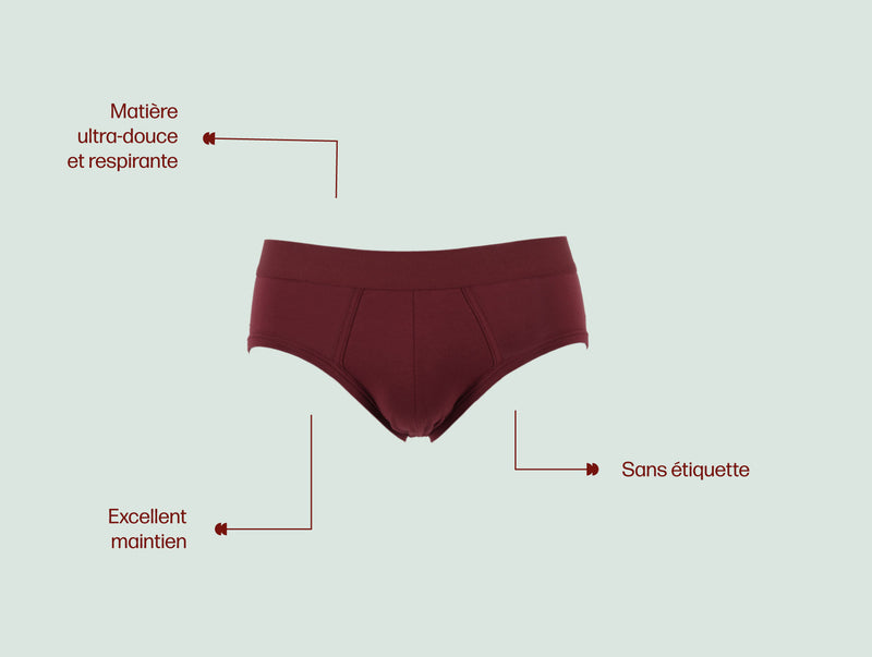 Pétrone slip coton pima micromodal bordeaux homme#couleur_bordeaux