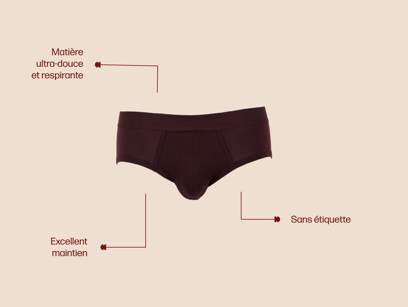 Pétrone slip coton pima micromodal lie-de-vin homme#couleur_lie-de-vin