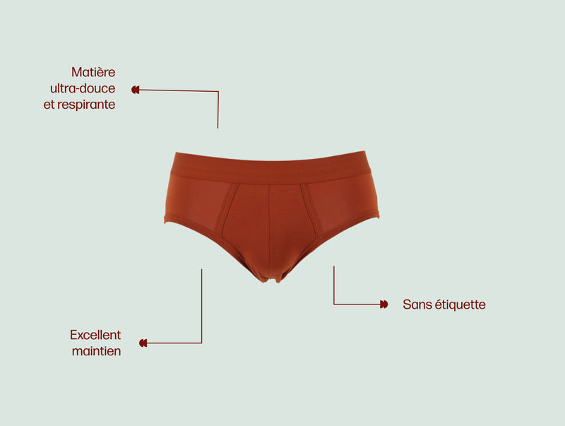 Pétrone slip coton pima micromodal rouille homme#couleur_rouille