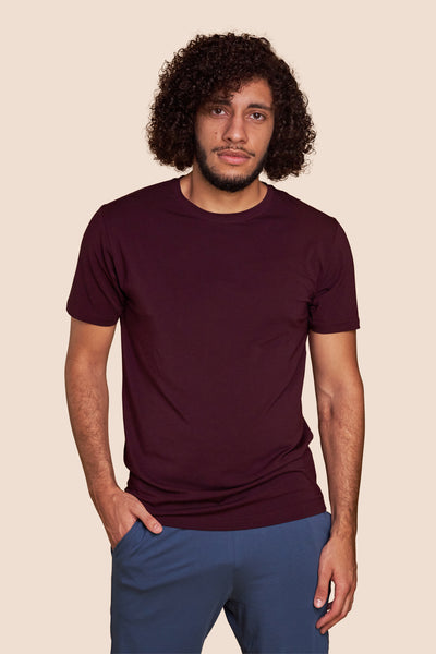 Pétrone T-shirt manches courtes coton pima micromodal lie de vin homme