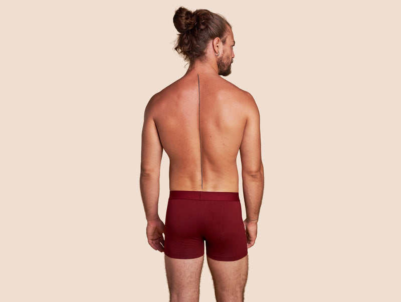Pétrone boxer confort coton pima micromodal bordeaux homme#couleur_bordeaux