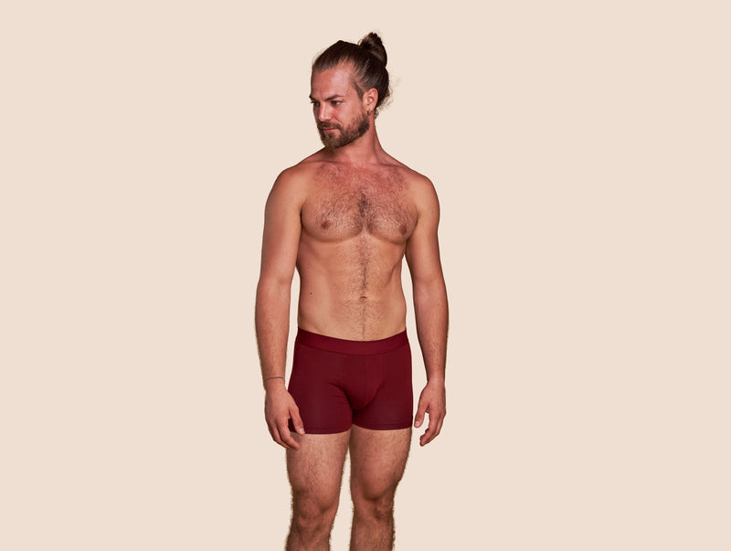 Pétrone boxer confort coton pima micromodal bordeaux homme#couleur_bordeaux