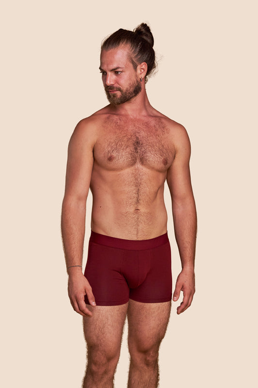 Pétrone boxer confort coton pima micromodal bordeaux homme