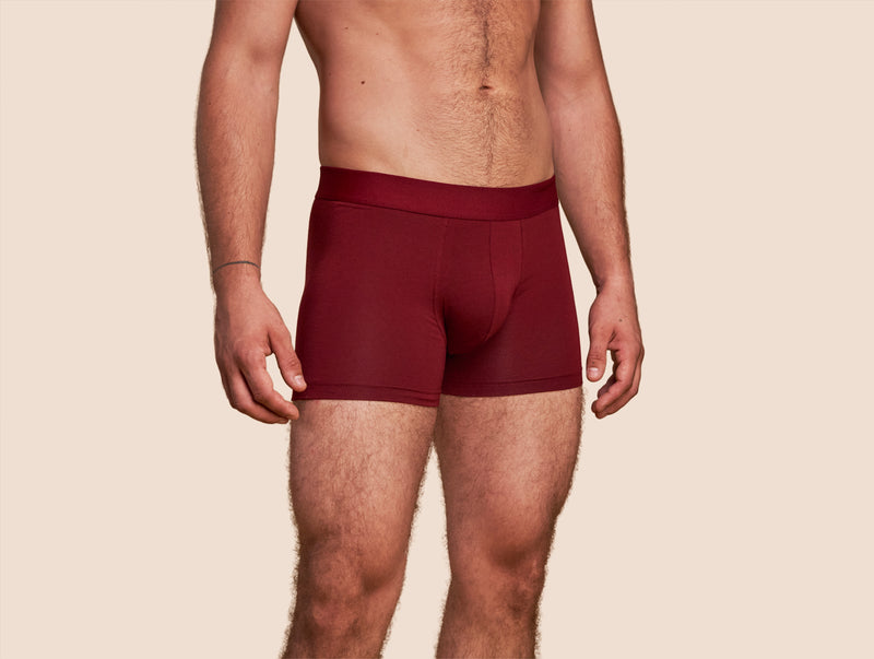 Pétrone boxer confort coton pima micromodal bordeaux homme#couleur_bordeaux