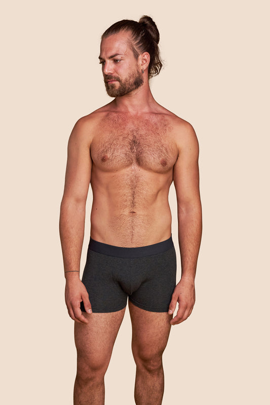 Pétrone boxer confort coton pima micromodal gris anthracite homme
