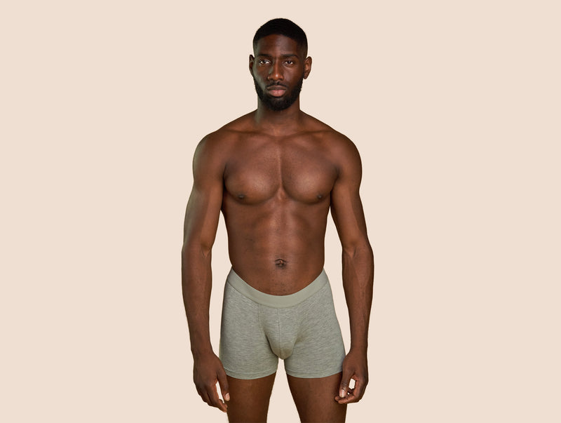 Pétrone boxer confort coton pima micromodal gris chiné clair homme#couleur_gris-chiné-clair