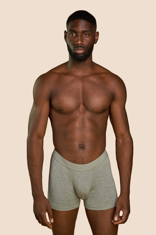 Pétrone boxer confort coton pima micromodal gris chiné clair homme