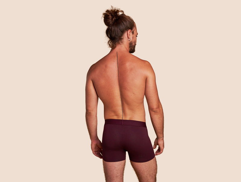 Pétrone boxer confort coton pima micromodal lie-de-vin homme#couleur_lie-de-vin