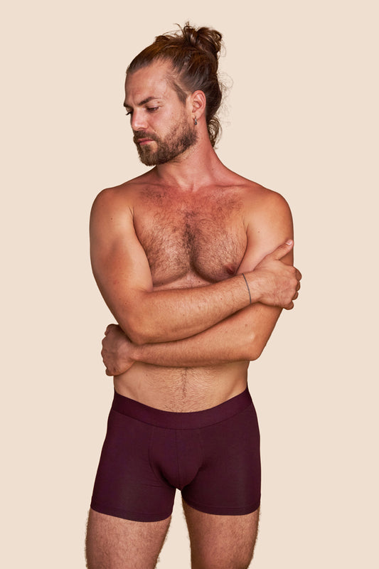 Pétrone boxer confort coton pima micromodal lie de vin homme
