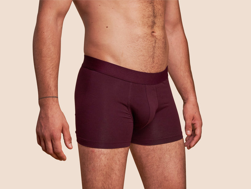 Pétrone boxer confort coton pima micromodal lie-de-vin homme#couleur_lie-de-vin