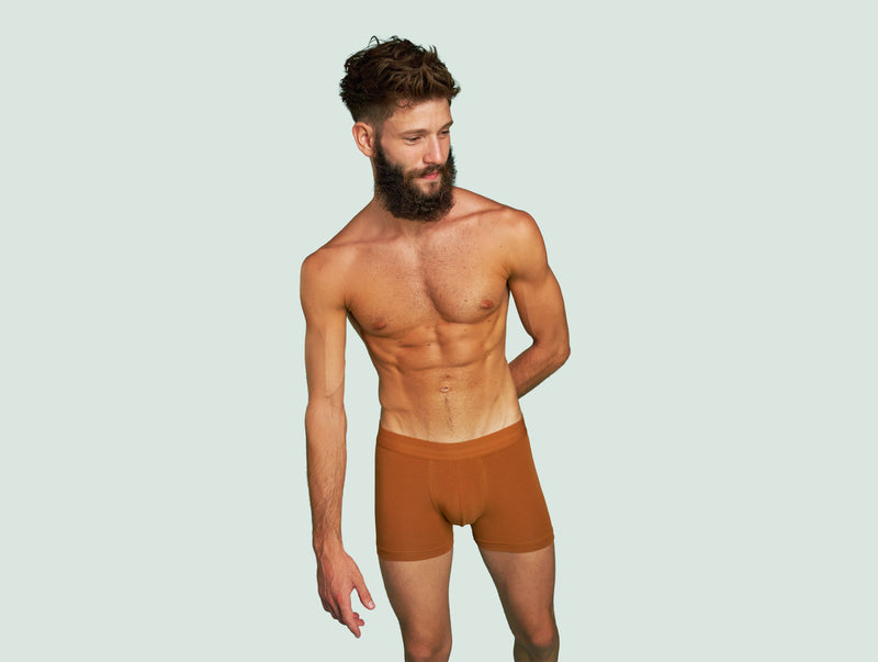 Pétrone boxer confort coton pima micromodal ocre homme#couleur_ocre