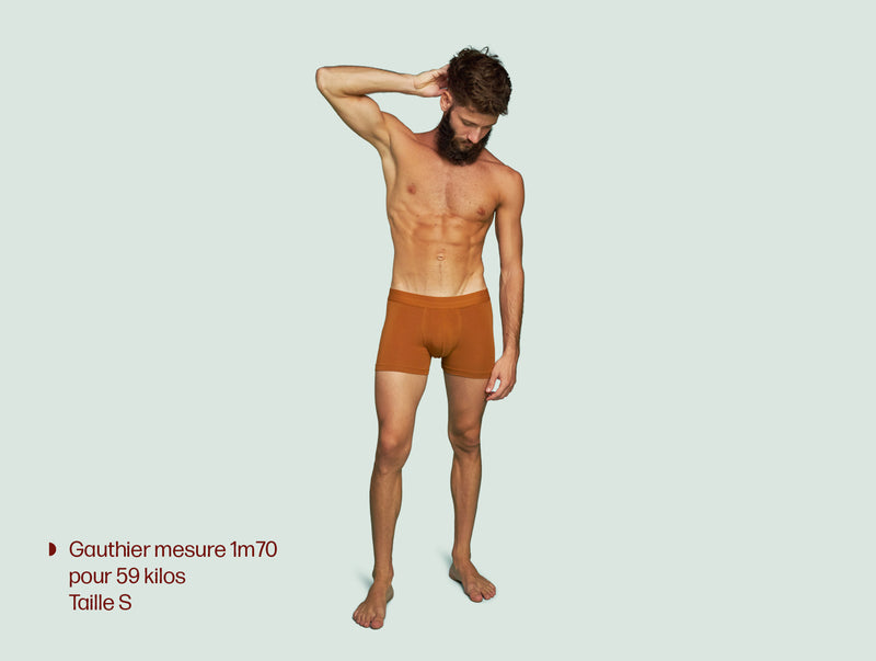 Pétrone boxer confort coton pima micromodal ocre homme#couleur_ocre