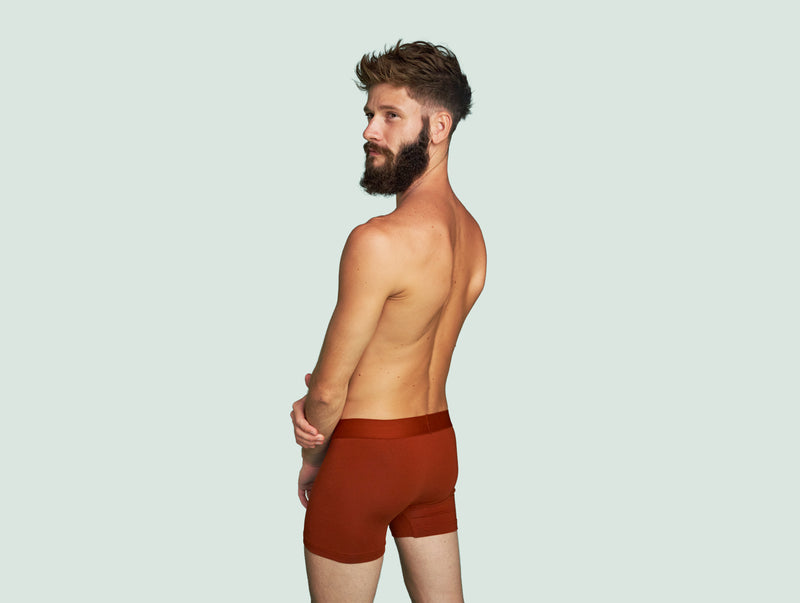Pétrone boxer confort coton pima micromodal rouille homme#couleur_rouille